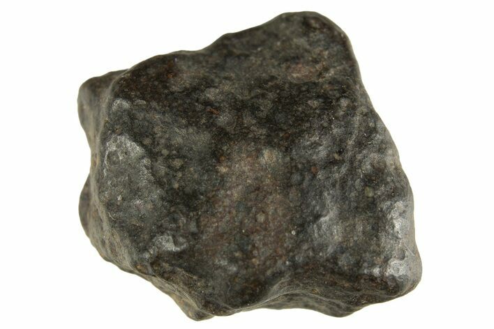 Carbonaceous Chondrite Meteorite ( g) - NWA #313694